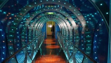 Holiday or anytime gift ideas for a cancer patient