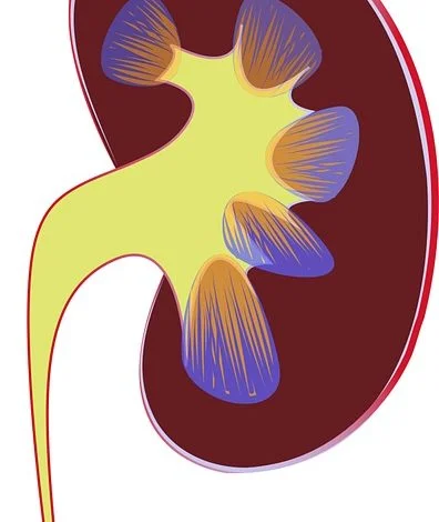 New colorectal cancer screening guidelines: Get screened earlier, expand testing options